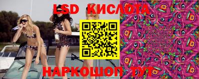 молекула духа Будённовск