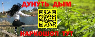 молекула духа Будённовск