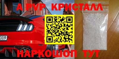 молекула духа Будённовск