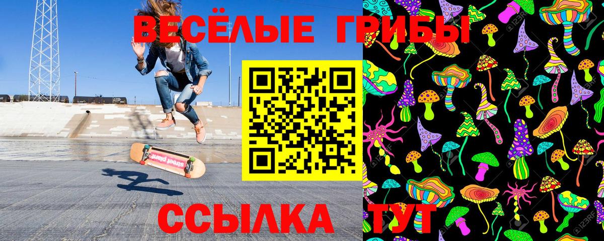 Псилоцибиновые грибы прущие грибы  Галлюциногенные грибы Psilocybe  Серпухов  Вход с VPN 