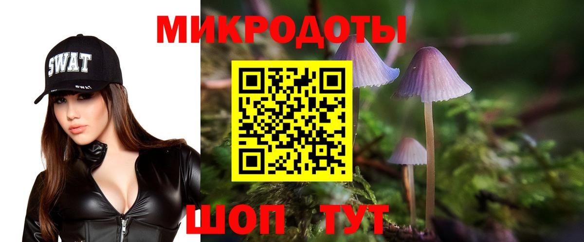 Псилоцибиновые грибы мицелий Серпухов